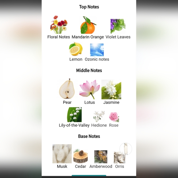 "My Fifth Avenue" Fragrance - Picture 8 of 8